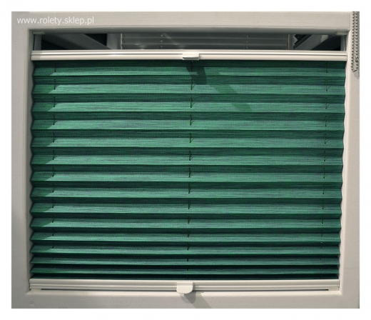 Zielona plisa okienna, dodająca świeżości i stylu wnętrzom na Śląsk